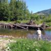 beautiful small streams